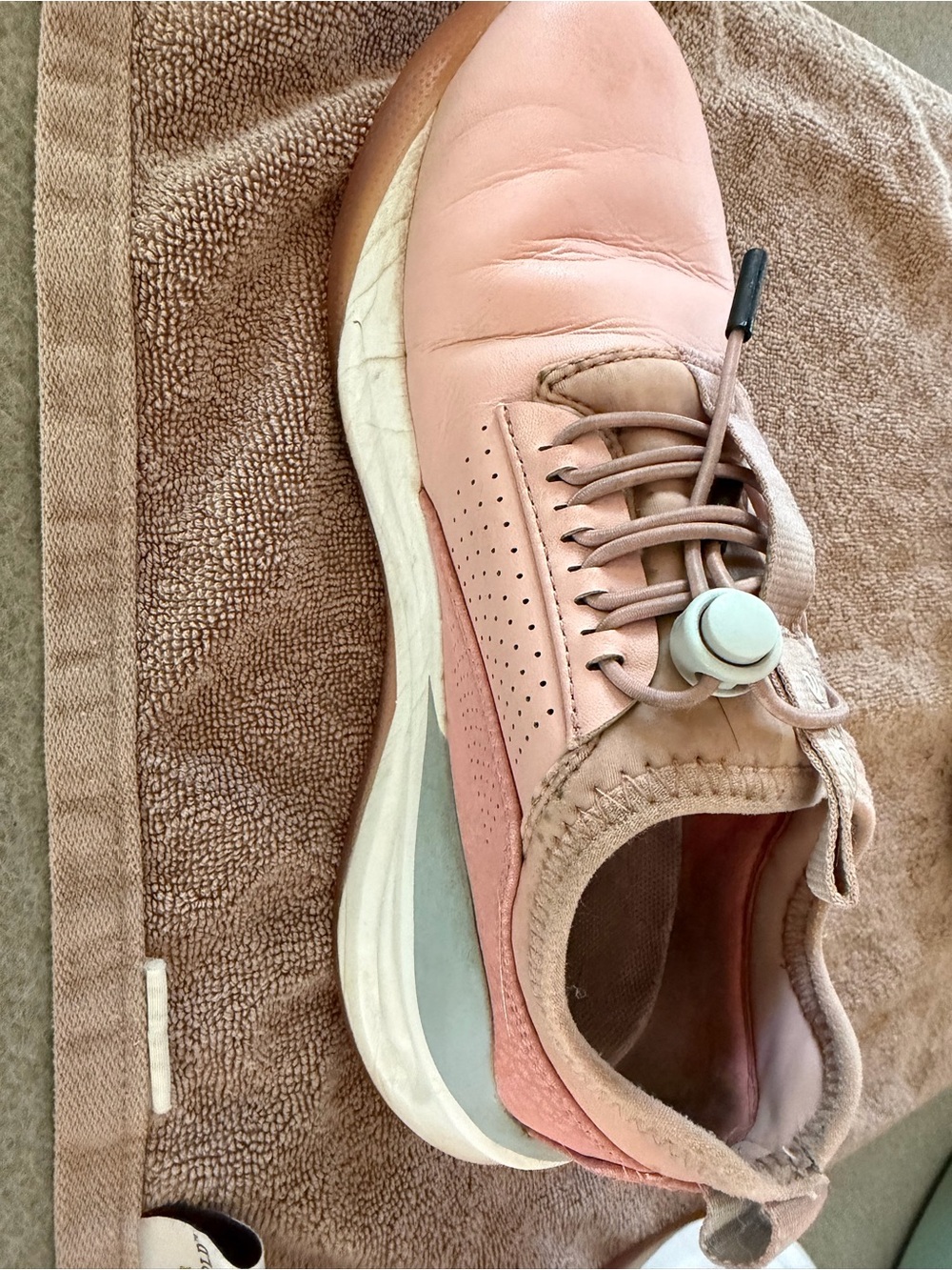 Pink Clove Shoes
